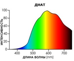 Лампа накаливания